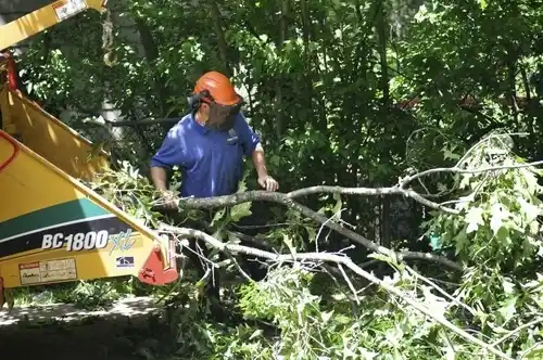 tree services Glenview